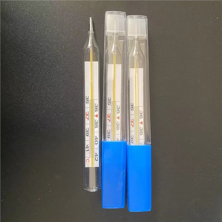 Mercury Thermometer For Kids
